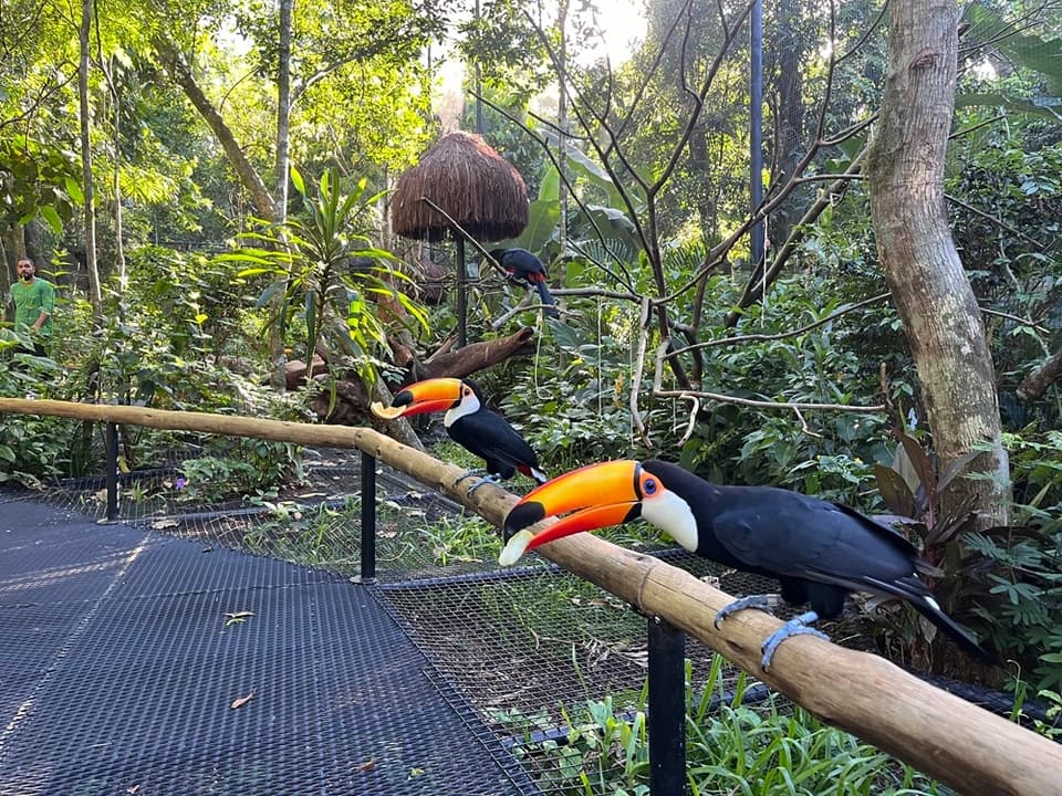 Parque das Aves